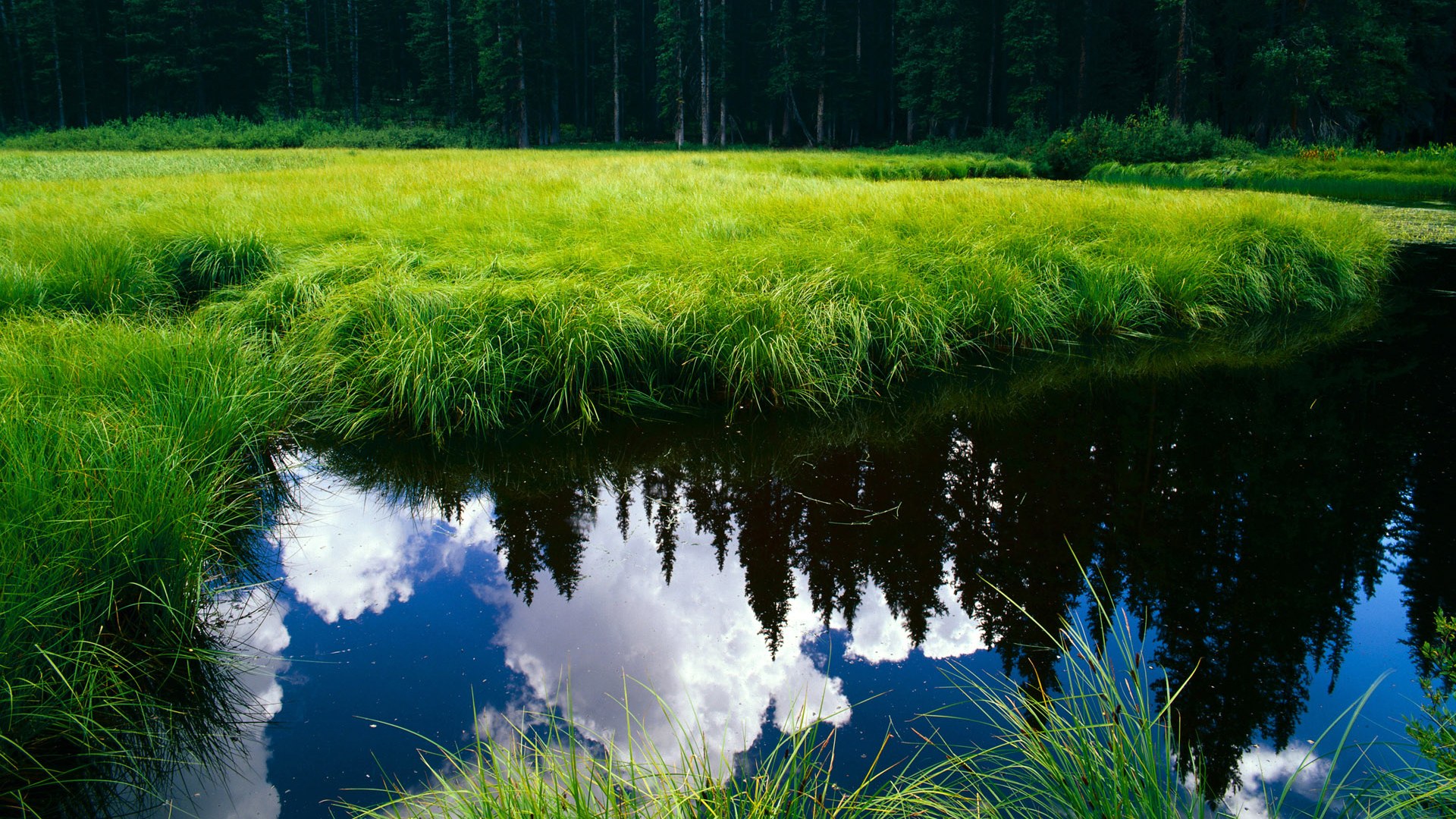 kaiyun app download-尼尔·巴特尔带领袋鼠队防线屡屡成功化解对方攻势