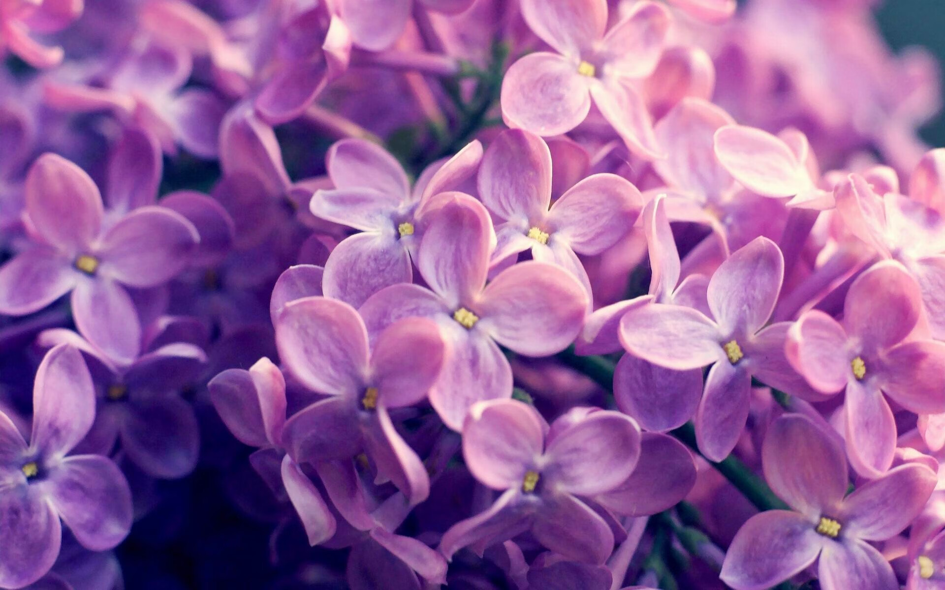开云体育客户端-高校篮球课程开设视频复盘环节增强战术理解，高校篮球教学